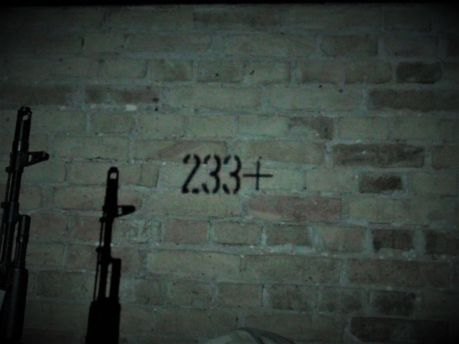 233+